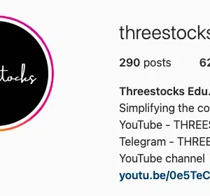 Threestock mentorship Course - The Course Gallery