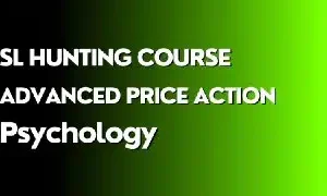 Trader In Action SL Hunting Course - The Course Gallery